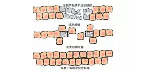 誰(shuí)做過(guò)彩光嫩膚有果嗎