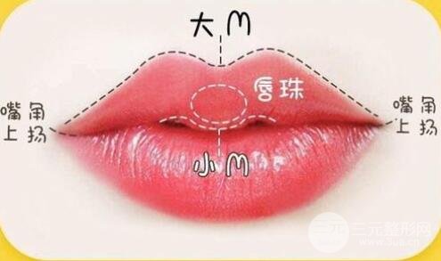 什么是M唇?