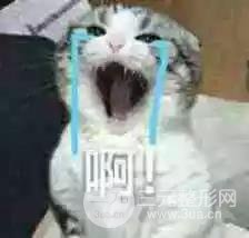 明星憑什么胖著玩玩說瘦就瘦？靠吃減肥藥嗎？