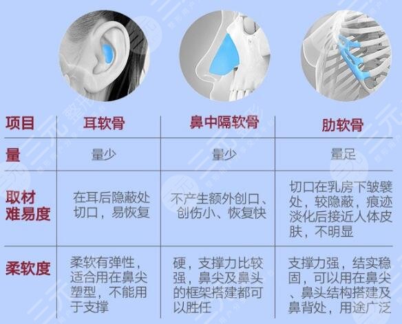 項(xiàng)目簡介