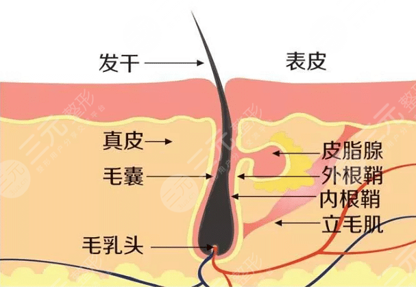 手術價格