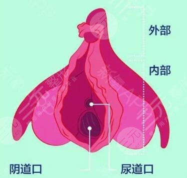私處嫩紅手術(shù)果理想嗎