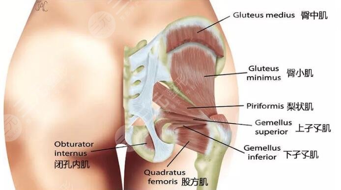 運(yùn)動中需要注意事項(xiàng)