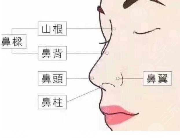鼻部手術(shù)