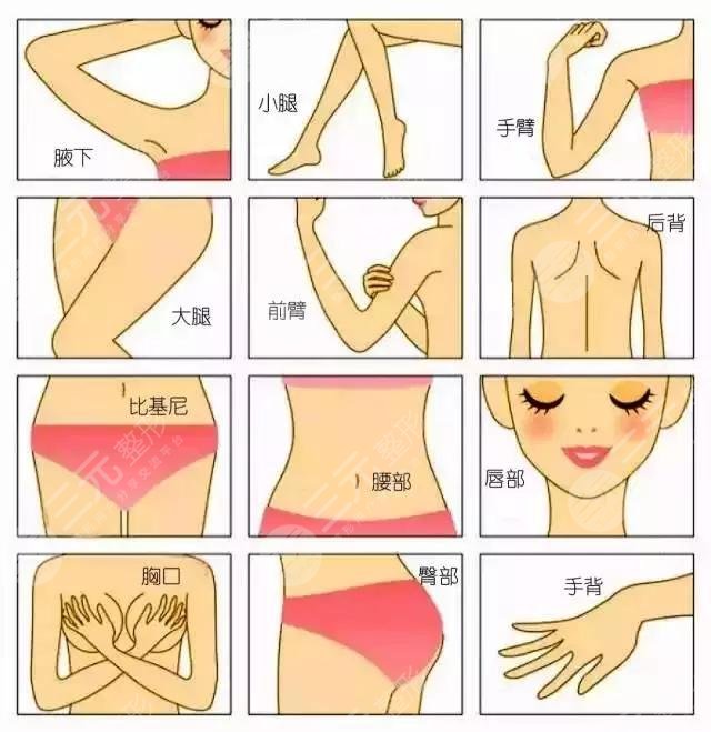 物理拔除脫毛
