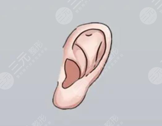 后天性耳廓缺損