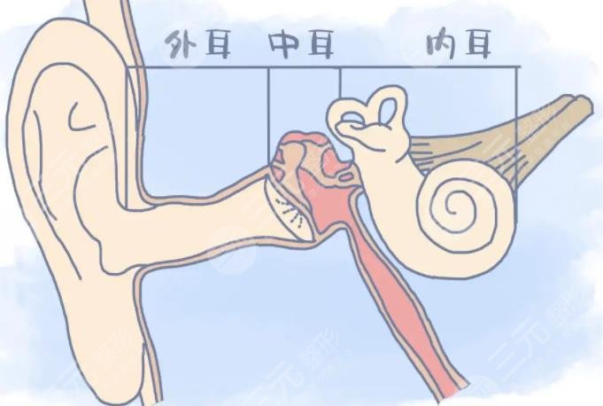 耳畸形再造手術(shù)醫(yī)保能報銷嗎？手術(shù)大概需要多少錢？需要掏空錢包來做嗎？