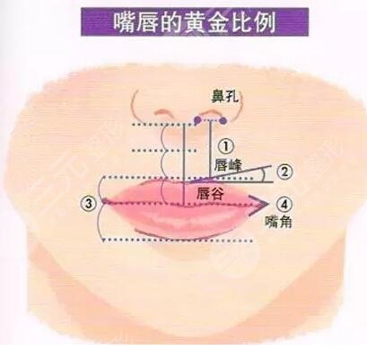 紋唇一到七天恢復(fù)圖片真實案例