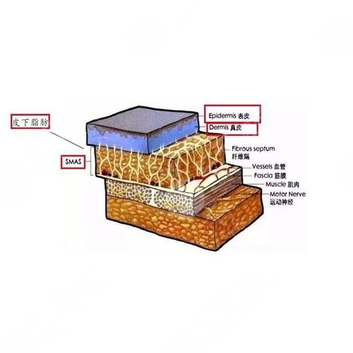 fotona4D和熱瑪吉的區(qū)別|哪個(gè)果好?
