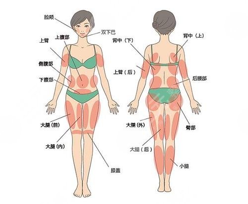 360度吸脂減肥價格是多少?