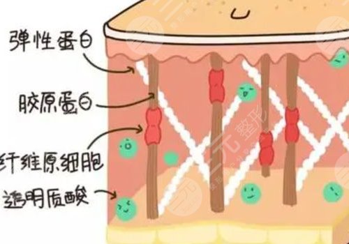 熱瑪吉全臉做一次多少錢？