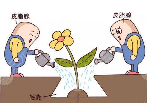 頭發(fā)干枯怎么辦？4