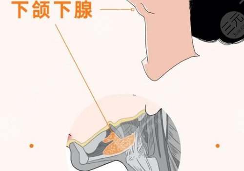 下頜緣輪廓注射多少錢？能維持多久？