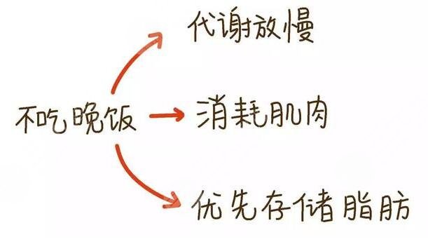 晚餐要適量，健康更重要