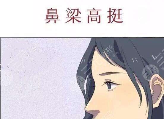 隆鼻假體壽命有多長？哪種假體好？手術明碼標價