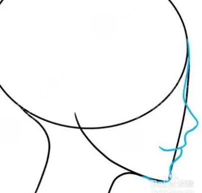 輪廓固定提升