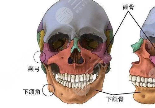 臉部骨骼變形能矯正嗎？