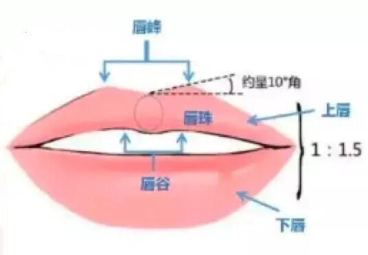 唇部受到傷之后可以整形嗎？整形手術(shù)科普+收費(fèi)價(jià)格參考！