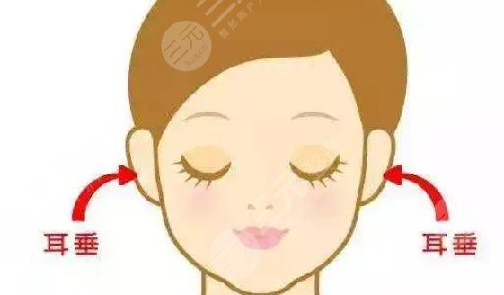 耳垂再造