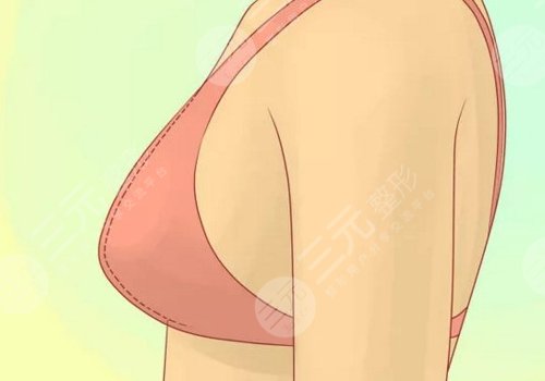 哪種胸型更好看？