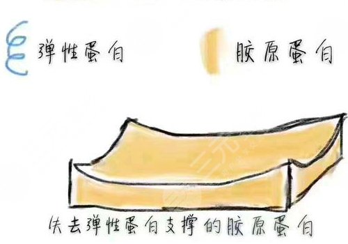 雙美膠原蛋白的作用與功效有哪些？