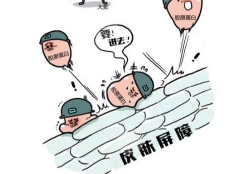 雙美膠原蛋白的作用與功效有哪些？