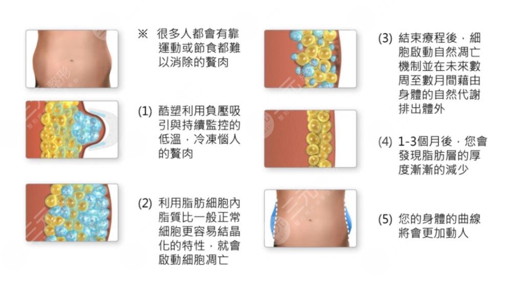 瘦肚子和腰上贅肉有效的方法有哪些？