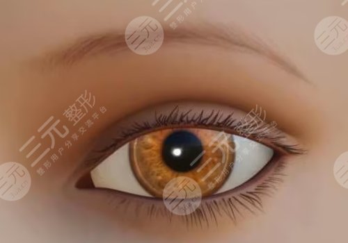 楊鍇醫(yī)生個人簡介，雙眼皮怎么樣