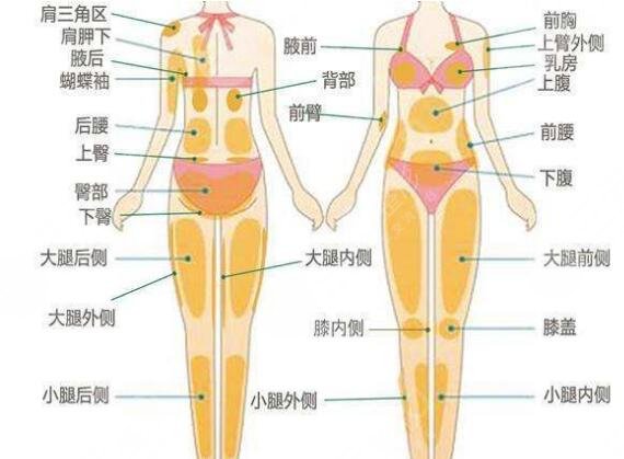 抽脂肚子價格大概多少