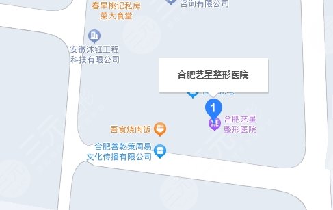 合肥藝星