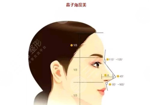 膨體材料隆鼻