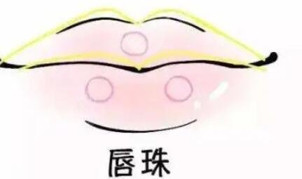 豐唇