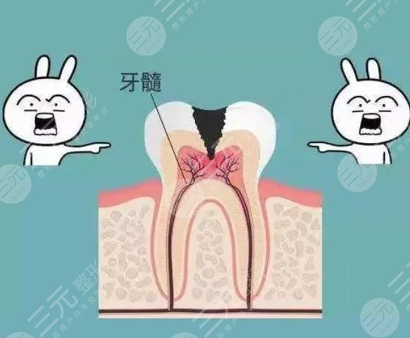牙齒