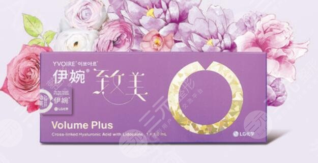 伊婉致美