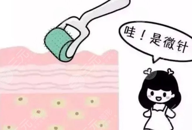 滾輪微針